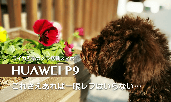 HUAWEI-P9作例